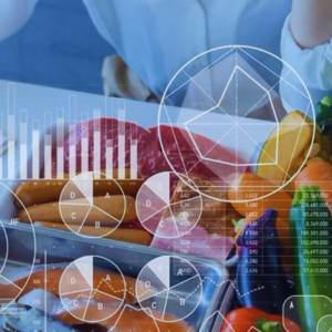 Camino del Vehículo Corporal – Metabólico Programa Integral de Salud Funcional. Programa de 6 sesiones