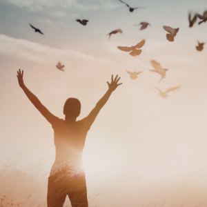 PCM – Process Communication Model® Inventario de Personalidad + 2 Sesiones de Asesoría